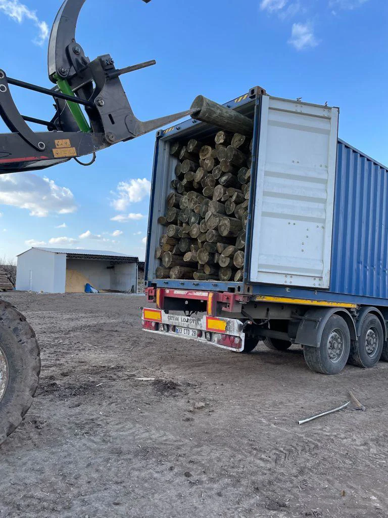 Container loading for shipment